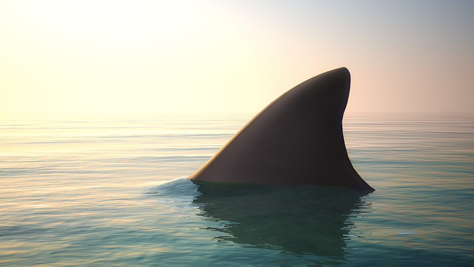 De Metagids #5: Trendcyclus krijgt de vorm van een haaienvin